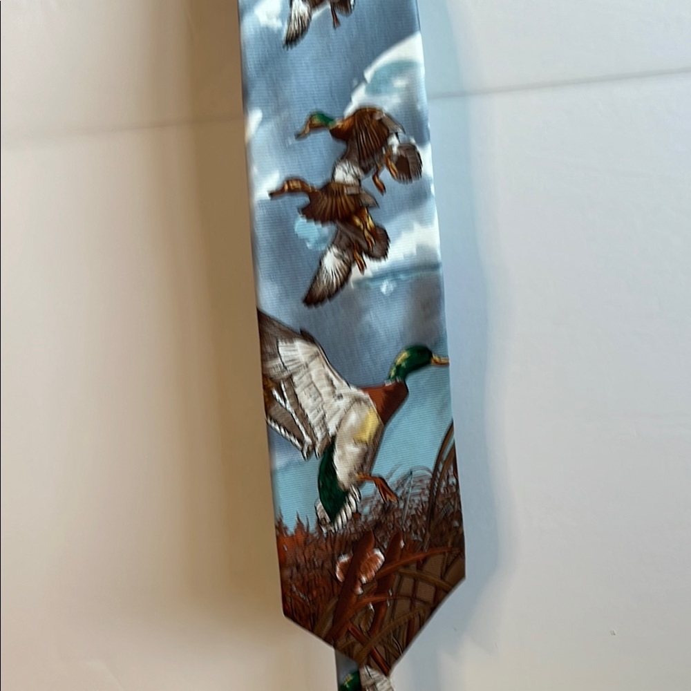 Duck Print Tie in Blue and Brown